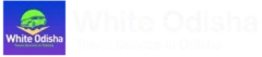 whiteodishatravels.com